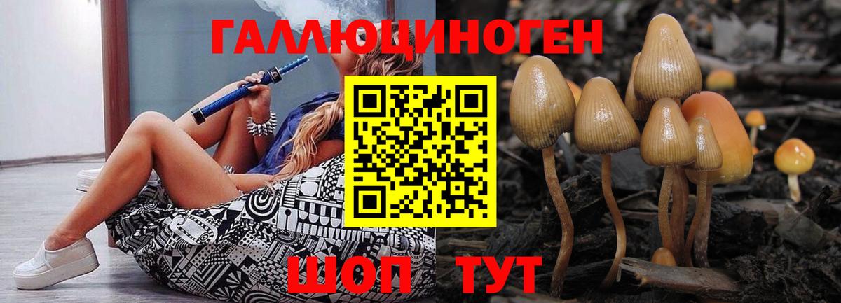 Галлюциногенные грибы Psilocybe Рузаевка